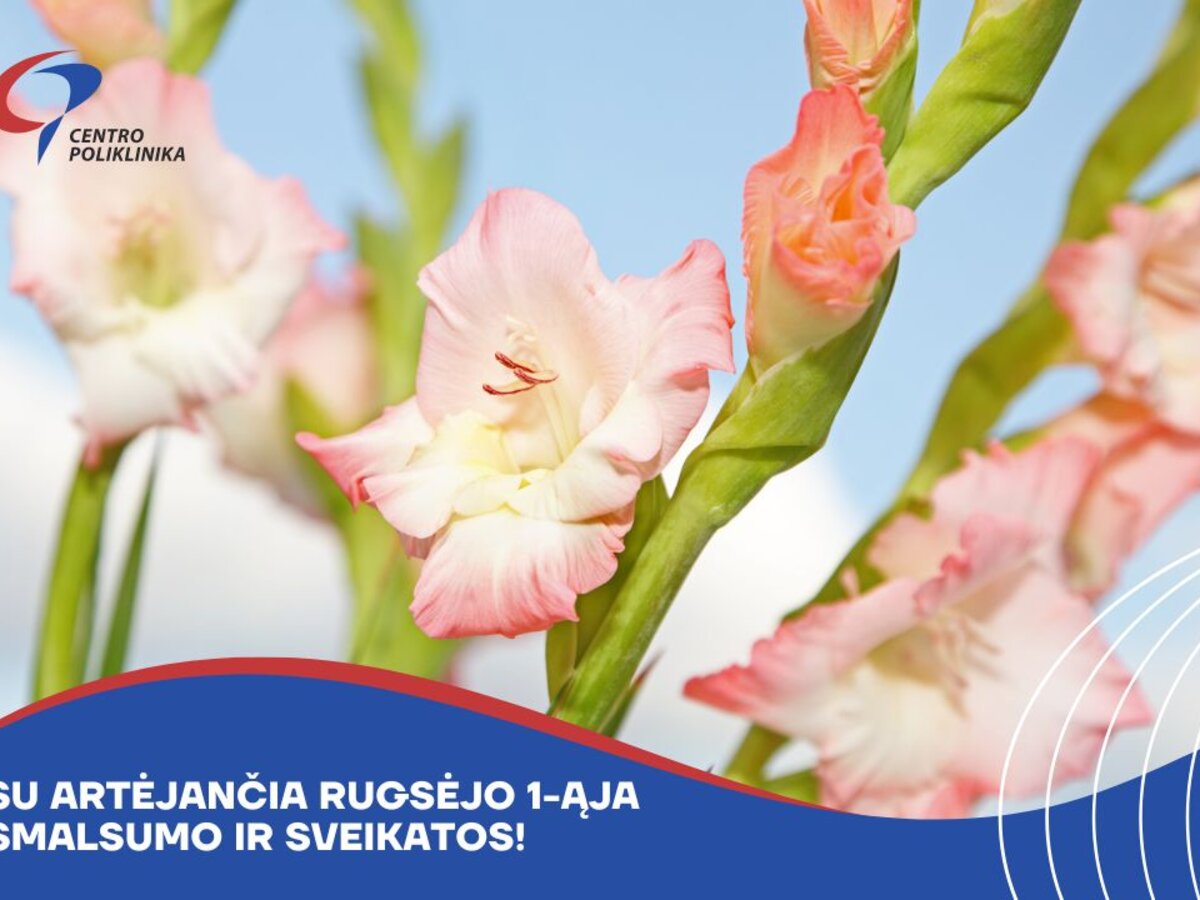 Su artėjančia Rugsėjo 1-ąja! | Pylimas